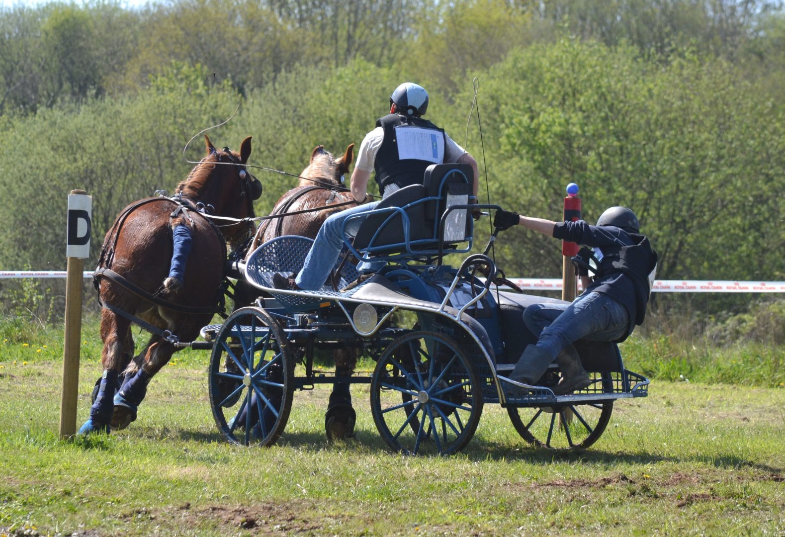 Attelage 2