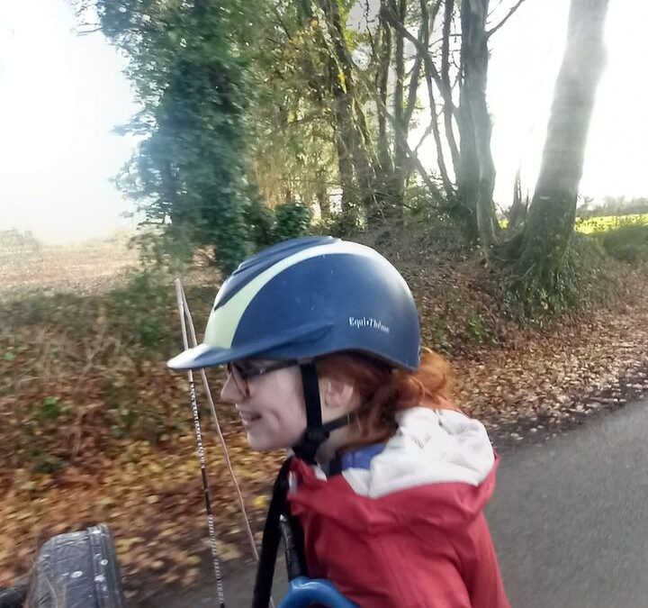 Aujourd’hui attelage avec Inès et Lola aux guides et Uzenn…