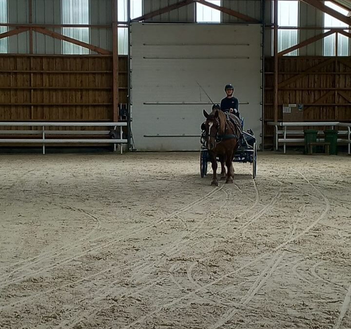 Cession Attelages avec les BPREH en formation à la MFR…