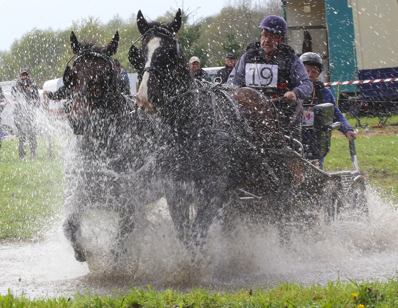 GOURIN CHAMPIONANT DEPARTEMENTAL D’ATTELAGE OUVERT AUX ENGAGEMENTS SHF CLUB ET…