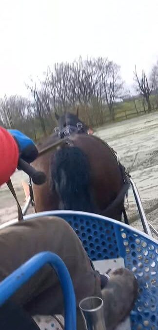 Découverte du Centre Equestre l’écurie des trois allures à Kernascleden…