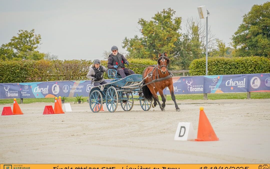 Photos de la maniabilité 1 faute dans le temps…